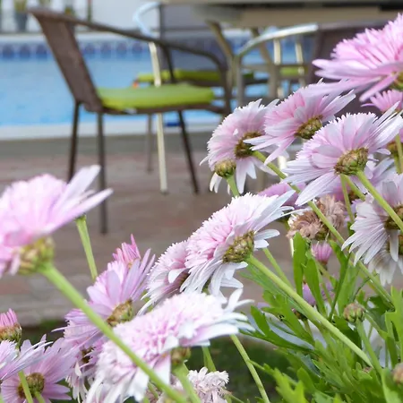 Holiday home Vital By Check-In Portugal Albufeira