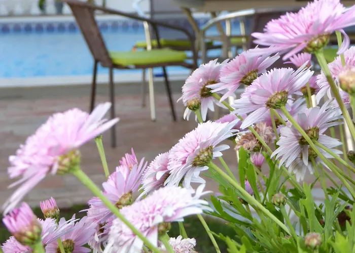 Holiday home Vital By Check-In Portugal Albufeira