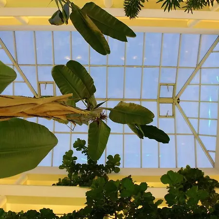 Vital By Check-in Portugal Албуфейра